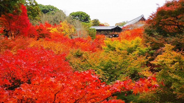 東福寺